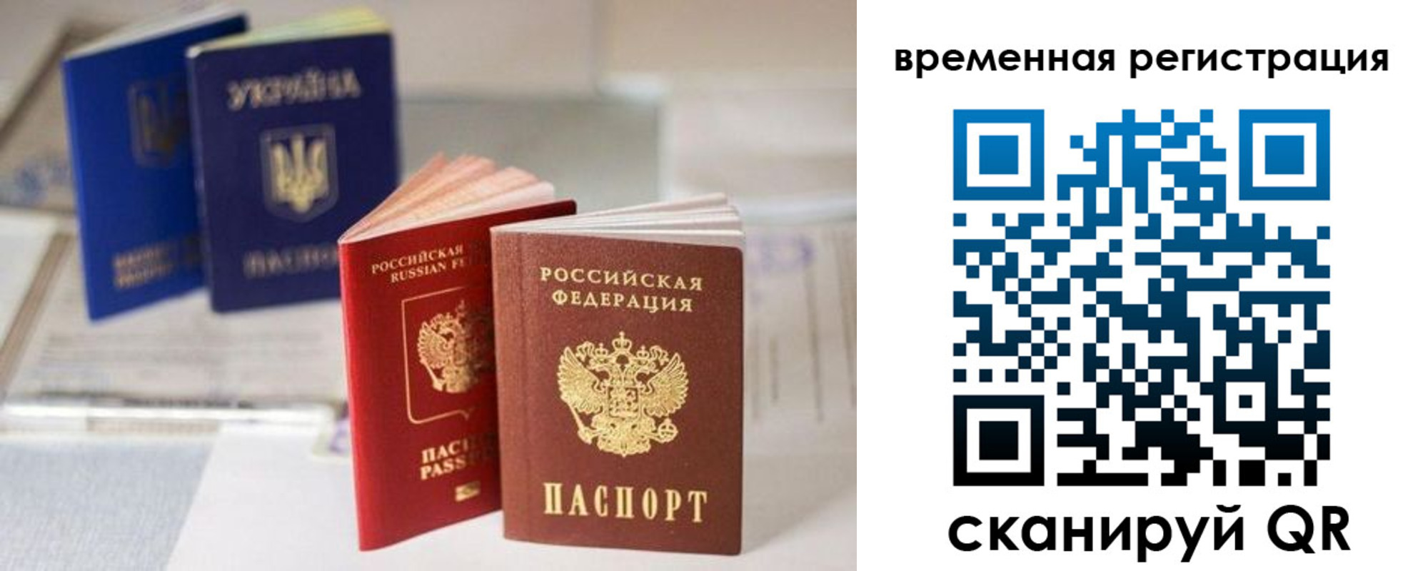 прописка поиск в Дорогобуже